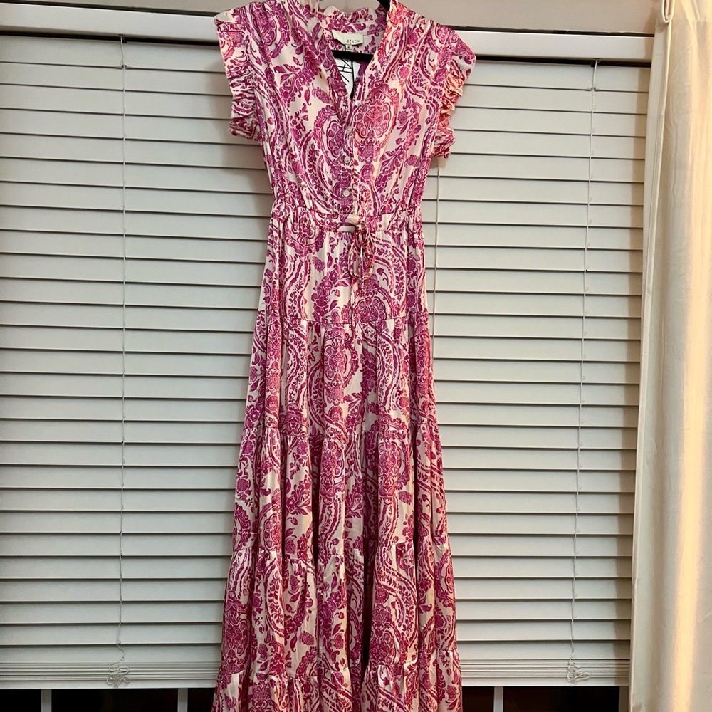 Pinch Pink and White Paisley Maxi Dress